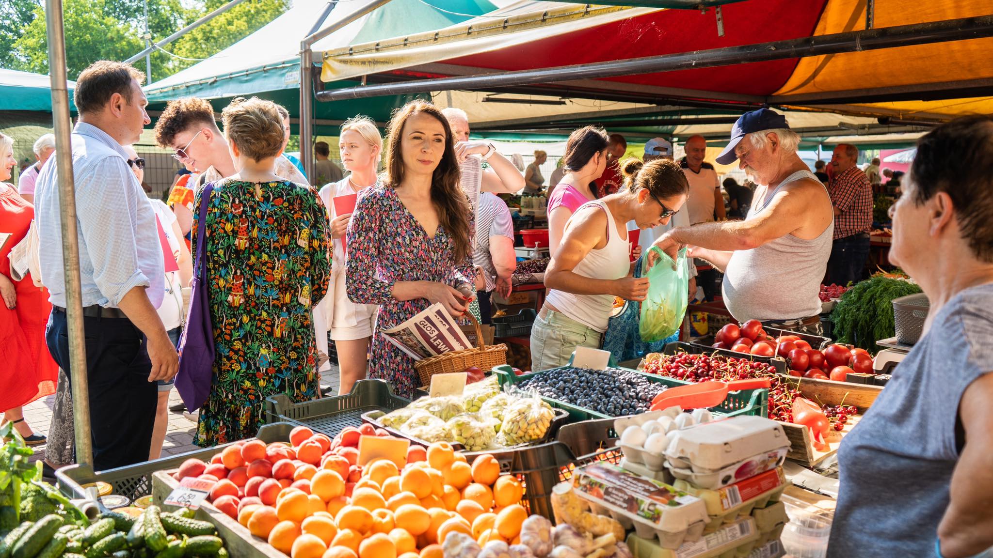 290477429_537686714705207_3037479067623593271_n