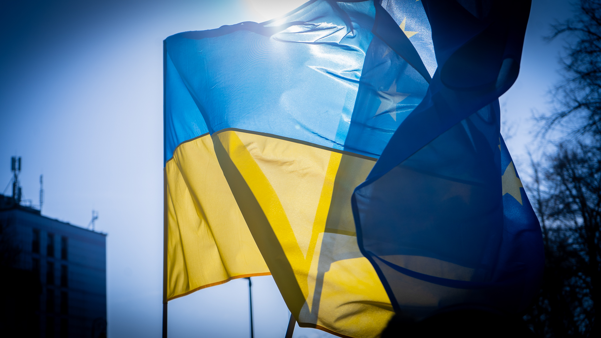 mediakrysiakgmailcom-2514_51901447999_o