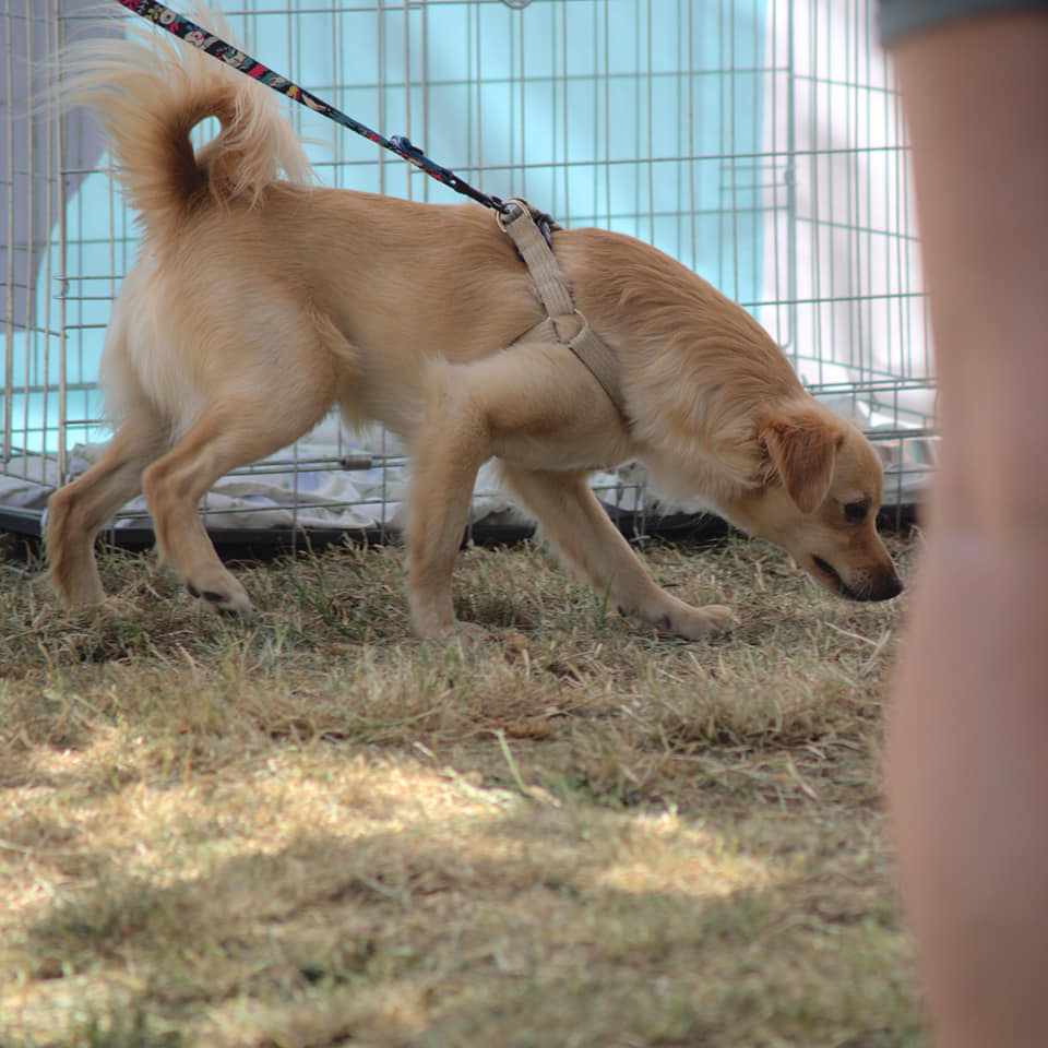 289221221_601662677996252_6858422050846657041_n 289221221_601662677996252_6858422050846657041_n